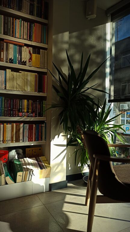Simple Steps to Create a Cozy Reading Nook at Home